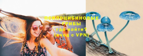 мяу мяу мука Белоозёрский