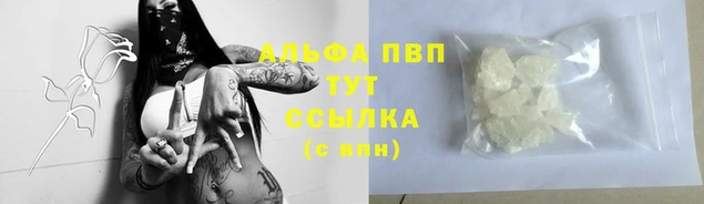 тгк Беломорск