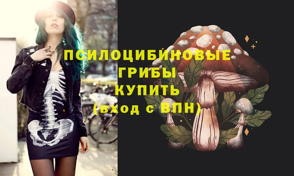 синтетический гашиш Белокуриха