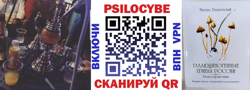 продажа наркотиков  Ворсма  блэк спрут маркетплейс  Галлюциногенные грибы Cubensis 
